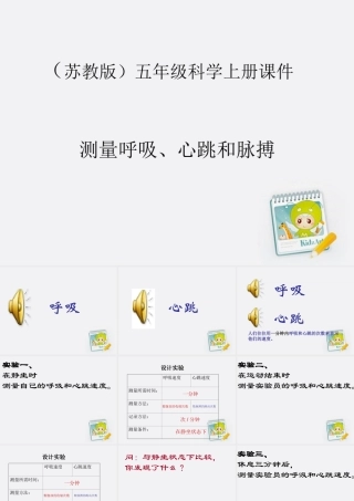 五年级科学上册 测量呼吸、心跳和脉搏课件 苏教版