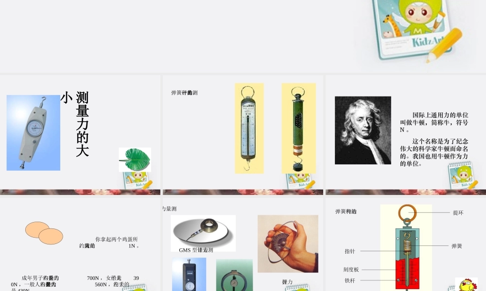 五年级科学上册 测量力的大小 2课件 教科版
