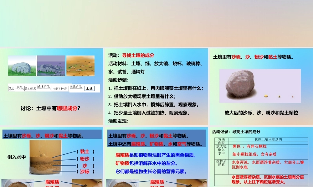 五年级科学上册 地球表面及其变化 4土壤中有什么课件 教科版-教科版小学五年级上册自然科学课件