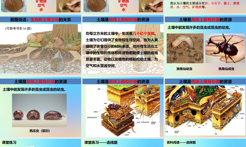 五年级科学上册 地球表面及其变化 4土壤中有什么课件 教科版-教科版小学五年级上册自然科学课件