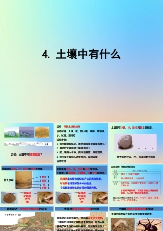 五年级科学上册 地球表面及其变化 4土壤中有什么课件 教科版-教科版小学五年级上册自然科学课件
