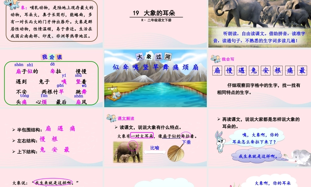 二年级语文下册 课文6 19《大象的耳朵》教学课件2 新人教版-新人教版小学二年级下册语文课件