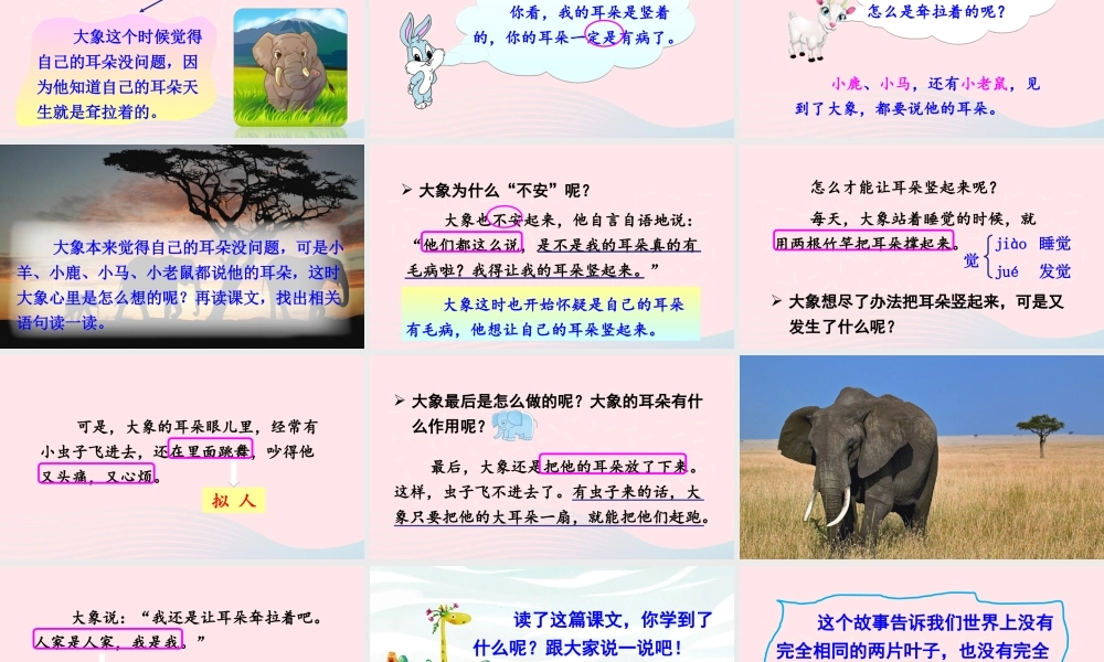二年级语文下册 课文6 19《大象的耳朵》教学课件2 新人教版-新人教版小学二年级下册语文课件