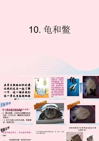 五年级科学上册 第10课《龟和鳖》课件（1） 鄂教版-鄂教版小学五年级上册自然科学课件