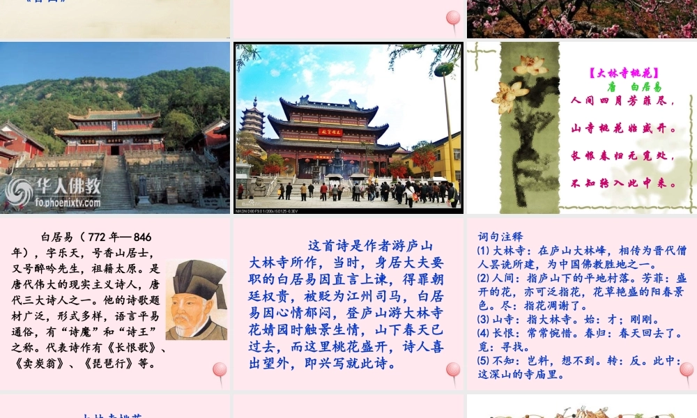 二年级语文下册 第四单元 第16课《大林寺桃花》课件1 北京版-北京版小学二年级下册语文课件
