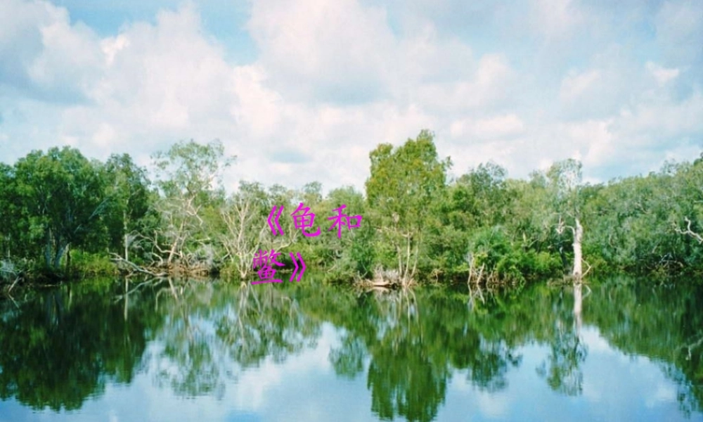 五年级科学上册 第10课《龟和鳖》课件（4） 鄂教版-鄂教版小学五年级上册自然科学课件