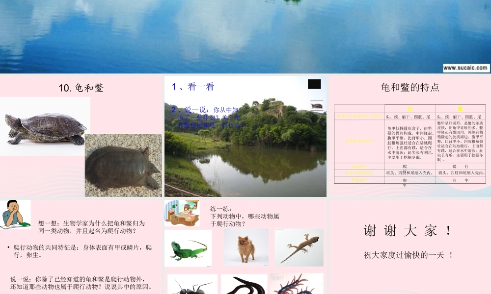 五年级科学上册 第10课《龟和鳖》课件（4） 鄂教版-鄂教版小学五年级上册自然科学课件