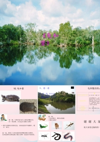 五年级科学上册 第10课《龟和鳖》课件（4） 鄂教版-鄂教版小学五年级上册自然科学课件