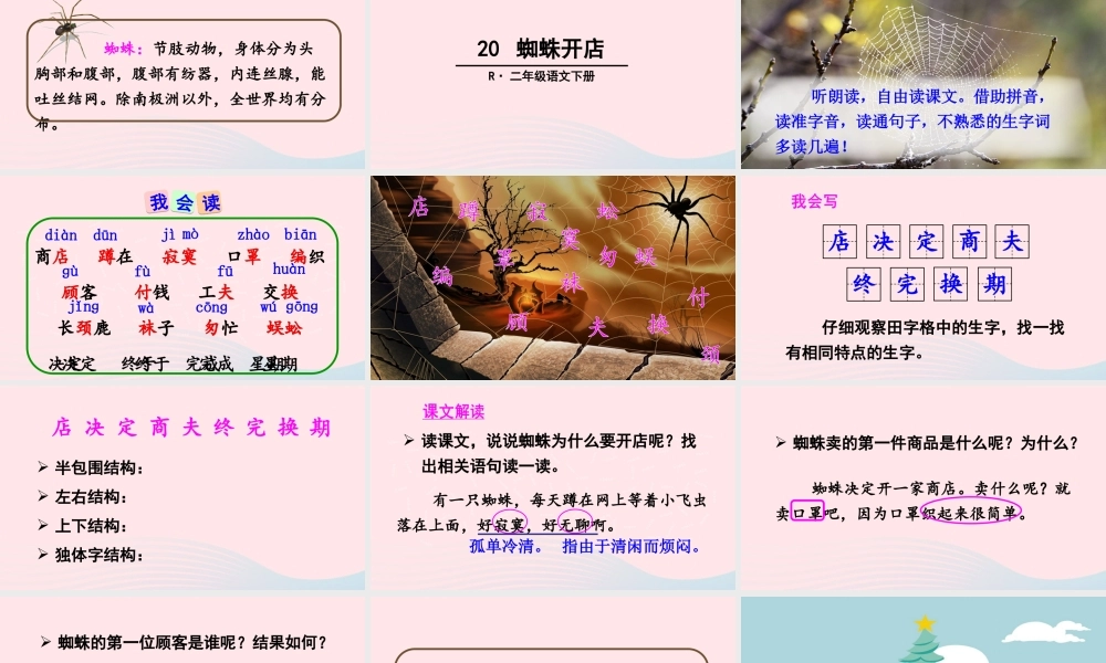二年级语文下册 课文6 20《蜘蛛开店》教学课件 新人教版-新人教版小学二年级下册语文课件