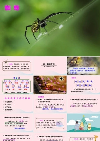 二年级语文下册 课文6 20《蜘蛛开店》教学课件 新人教版-新人教版小学二年级下册语文课件