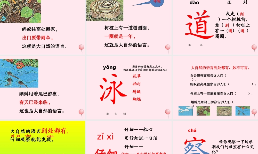 二年级语文下册 第四单元 第17课《大自然的语言》课件1 北京版-北京版小学二年级下册语文课件