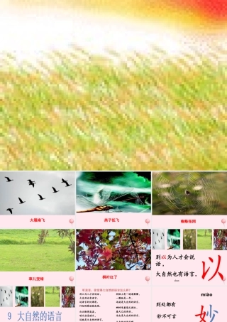 二年级语文下册 第四单元 第17课《大自然的语言》课件1 北京版-北京版小学二年级下册语文课件