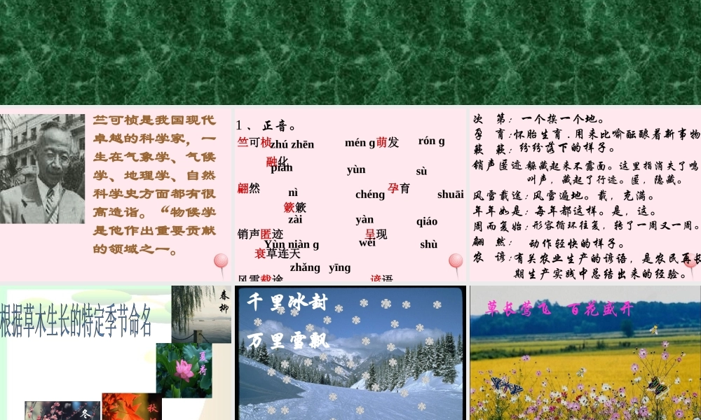 二年级语文下册 第四单元 第17课《大自然的语言》课件2 北京版-北京版小学二年级下册语文课件