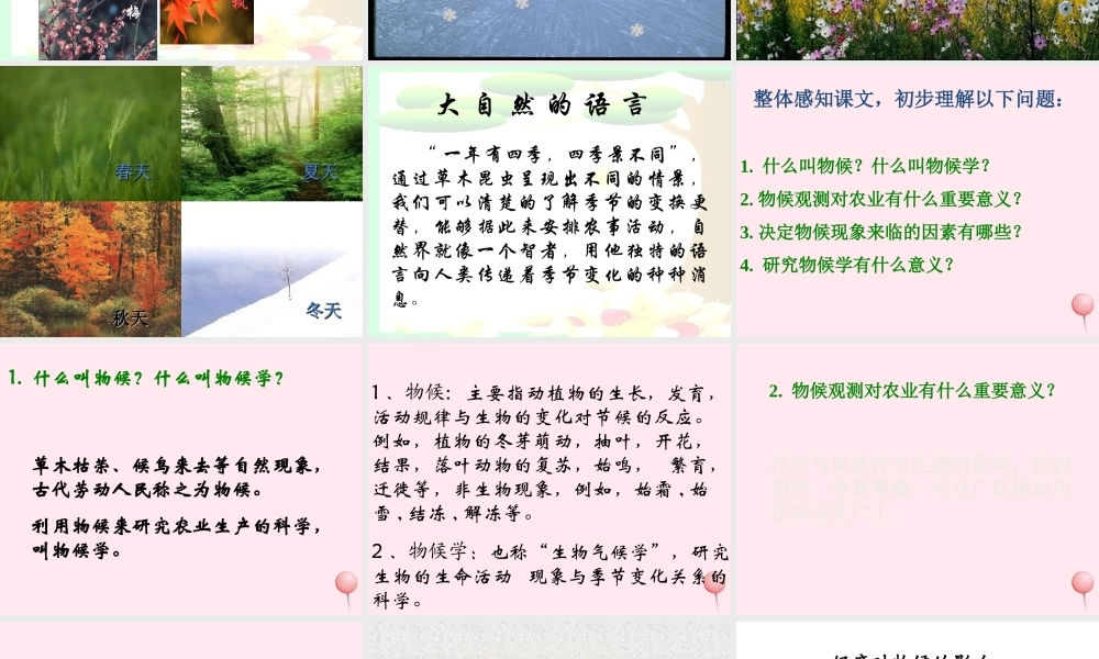 二年级语文下册 第四单元 第17课《大自然的语言》课件2 北京版-北京版小学二年级下册语文课件