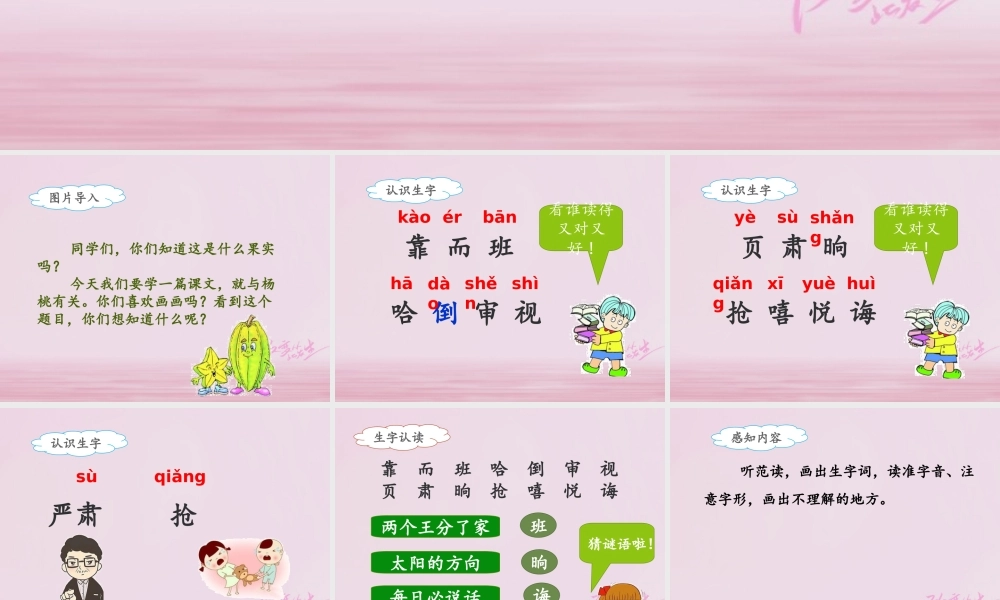 二年级语文下册 课文4 13 画杨桃(课时1)课件 新人教版-新人教版小学二年级下册语文课件