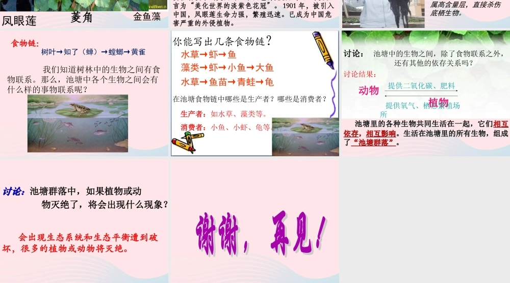 五年级科学上册 第11课《池塘中的植物》课件（1） 鄂教版-鄂教版小学五年级上册自然科学课件