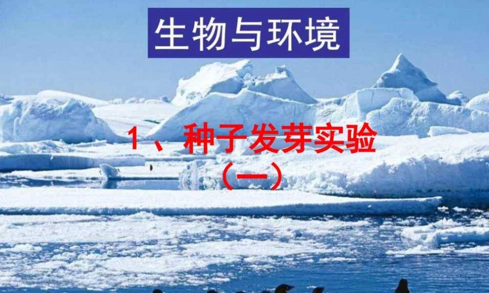 五年级科学上册 1.1 种子发芽实验（一）课件1 教科版-教科版小学五年级上册自然科学课件