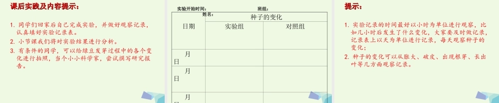 五年级科学上册 1.1 种子发芽实验（一）课件1 教科版-教科版小学五年级上册自然科学课件
