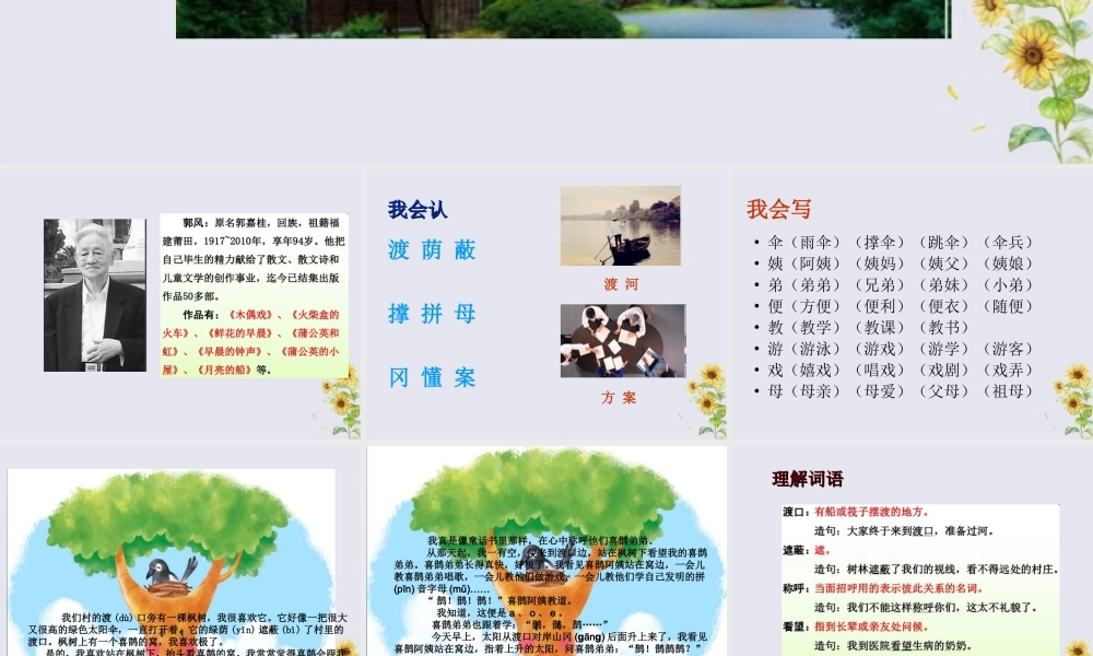 二年级语文下册 第四单元 课文3 9 枫树上的喜鹊教学课件 新人教版-新人教版小学二年级下册语文课件