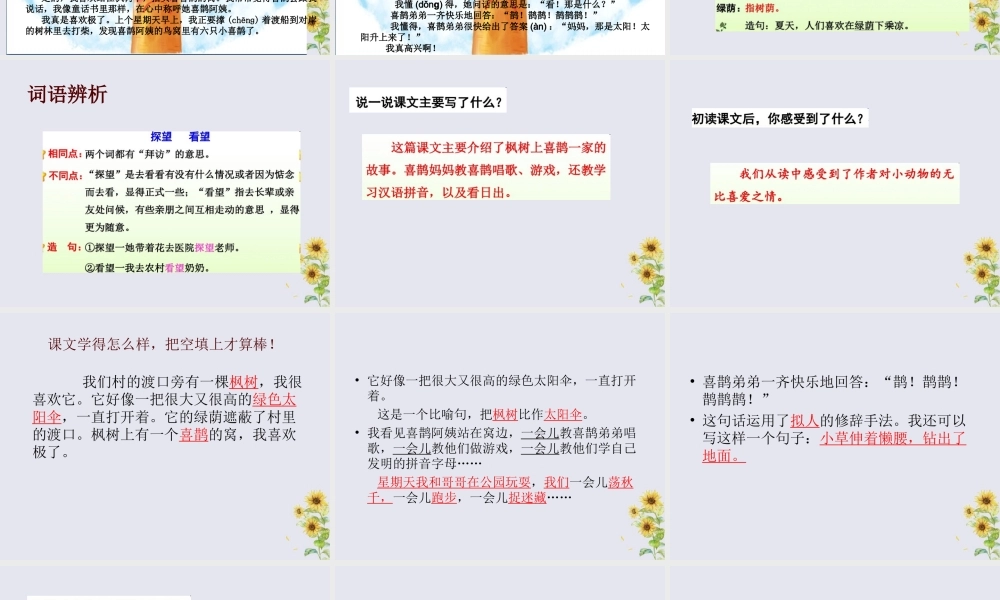 二年级语文下册 第四单元 课文3 9 枫树上的喜鹊教学课件 新人教版-新人教版小学二年级下册语文课件