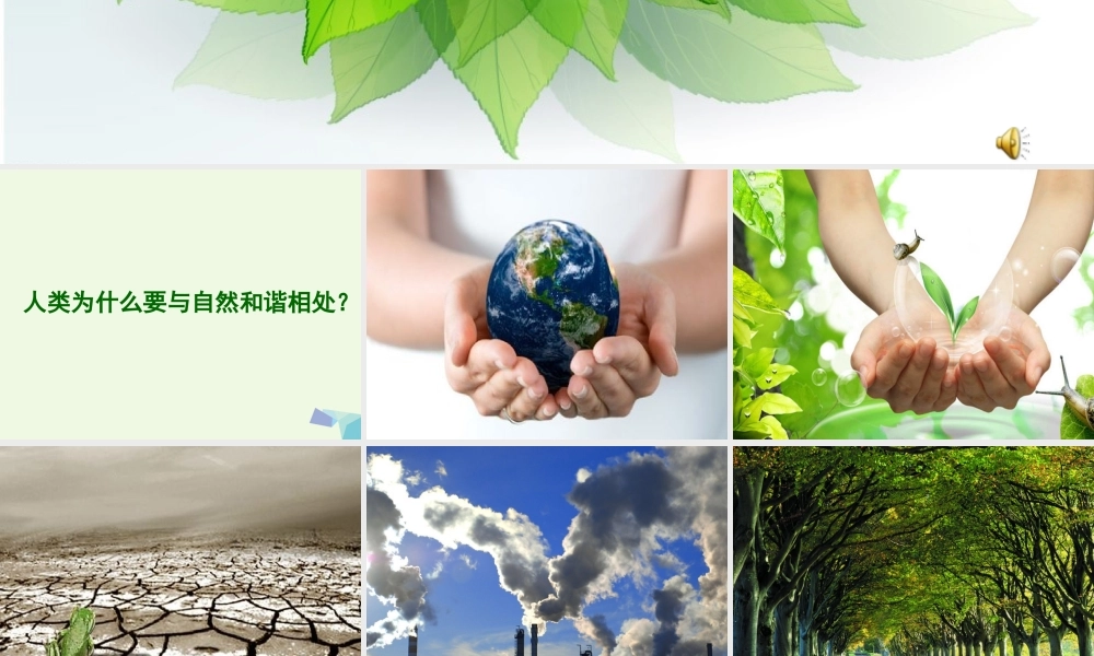 五年级科学上册 第12课 和谐相处课件2 冀教版-冀教版小学五年级上册自然科学课件