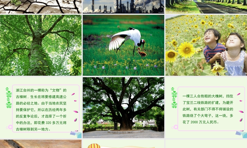 五年级科学上册 第12课 和谐相处课件2 冀教版-冀教版小学五年级上册自然科学课件