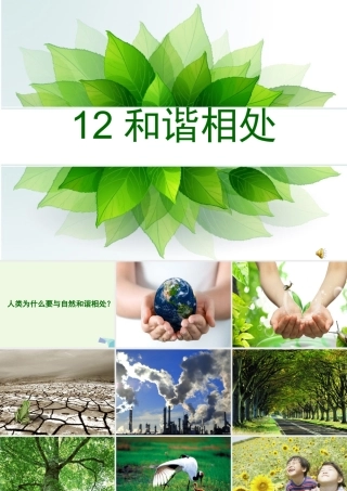 五年级科学上册 第12课 和谐相处课件2 冀教版-冀教版小学五年级上册自然科学课件