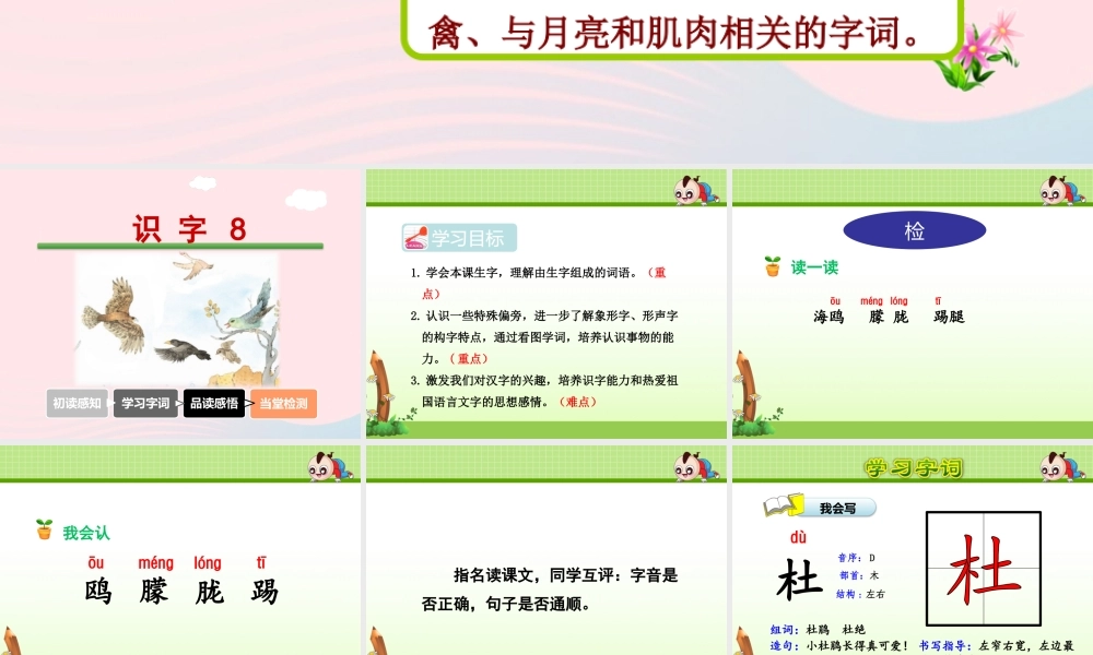 二年级语文下册 识字（二）《识字8》课件 苏教版-苏教版小学二年级下册语文课件