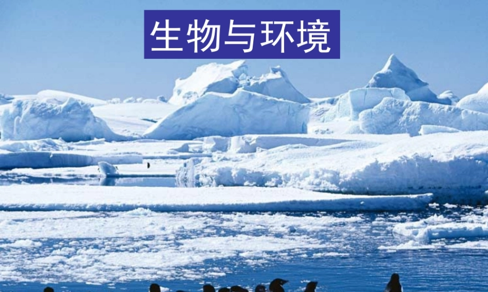 五年级科学上册 1.1 种子发芽实验（一）课件4 教科版-教科版小学五年级上册自然科学课件