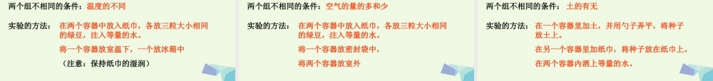 五年级科学上册 1.1 种子发芽实验（一）课件4 教科版-教科版小学五年级上册自然科学课件