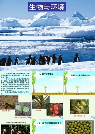 五年级科学上册 1.1 种子发芽实验（一）课件4 教科版-教科版小学五年级上册自然科学课件