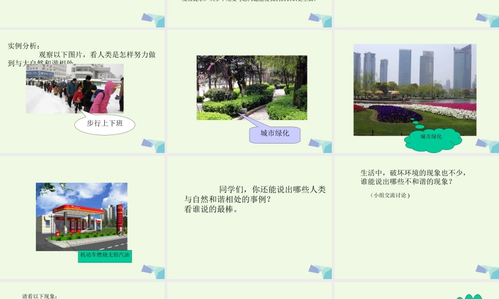 五年级科学上册 第12课 和谐相处课件3 冀教版-冀教版小学五年级上册自然科学课件