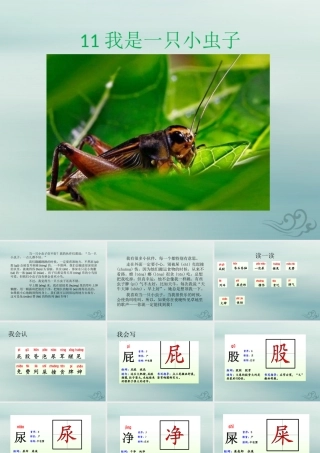 二年级语文下册 第四单元 课文3 11 我是一只小虫子教学课件 新人教版-新人教版小学二年级下册语文课件