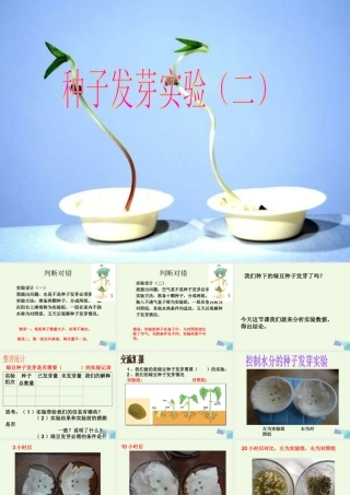 五年级科学上册 1.2 种子发芽实验（二）课件1 教科版-教科版小学五年级上册自然科学课件