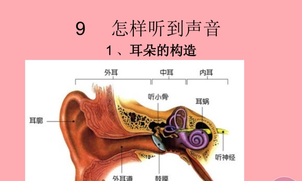五年级科学上册 第12课 怎样听到声音课件2 青岛版-青岛版小学五年级上册自然科学课件