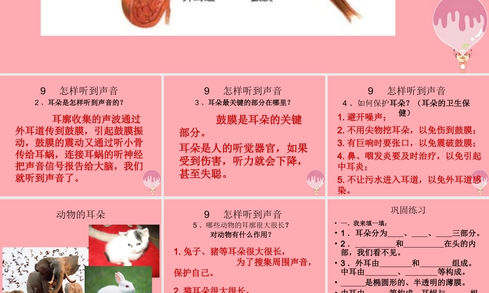 五年级科学上册 第12课 怎样听到声音课件2 青岛版-青岛版小学五年级上册自然科学课件