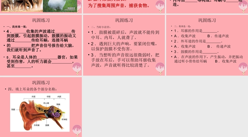 五年级科学上册 第12课 怎样听到声音课件2 青岛版-青岛版小学五年级上册自然科学课件