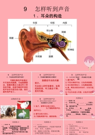 五年级科学上册 第12课 怎样听到声音课件2 青岛版-青岛版小学五年级上册自然科学课件
