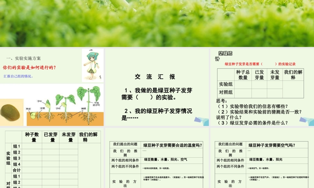 五年级科学上册 1.2 种子发芽实验（二）课件2 教科版-教科版小学五年级上册自然科学课件