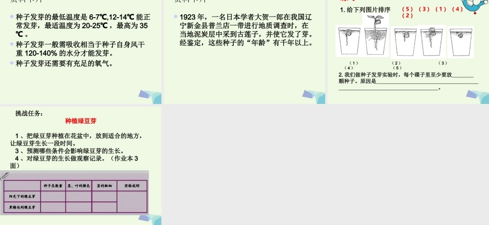 五年级科学上册 1.2 种子发芽实验（二）课件2 教科版-教科版小学五年级上册自然科学课件