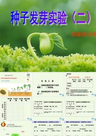 五年级科学上册 1.2 种子发芽实验（二）课件2 教科版-教科版小学五年级上册自然科学课件