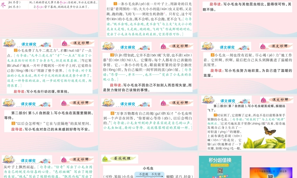 二年级语文下册 课文6 22 小毛虫课件 新人教版-新人教版小学二年级下册语文课件