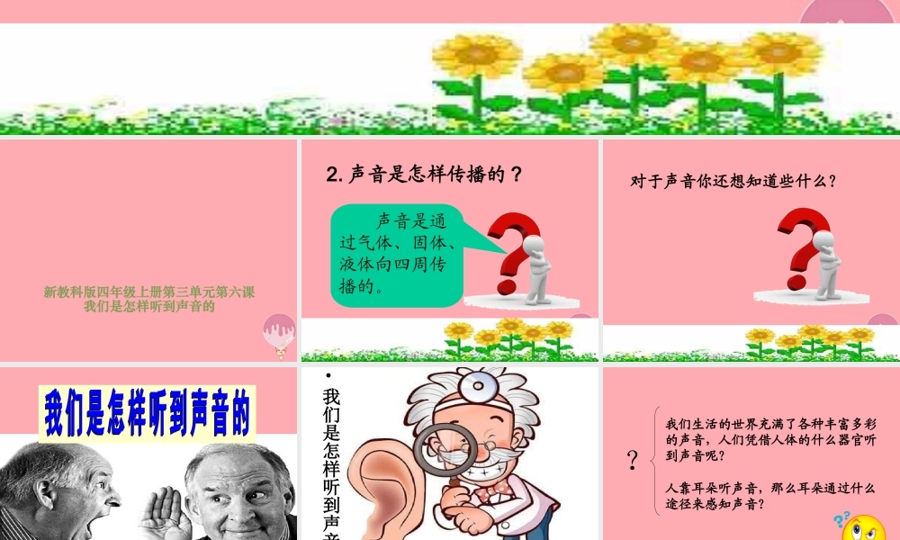 五年级科学上册 第12课 怎样听到声音课件3 青岛版-青岛版小学五年级上册自然科学课件