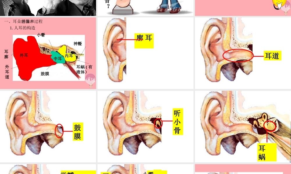 五年级科学上册 第12课 怎样听到声音课件3 青岛版-青岛版小学五年级上册自然科学课件