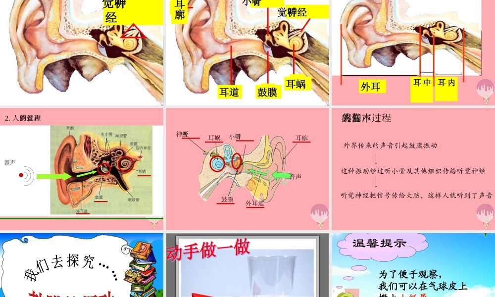 五年级科学上册 第12课 怎样听到声音课件3 青岛版-青岛版小学五年级上册自然科学课件