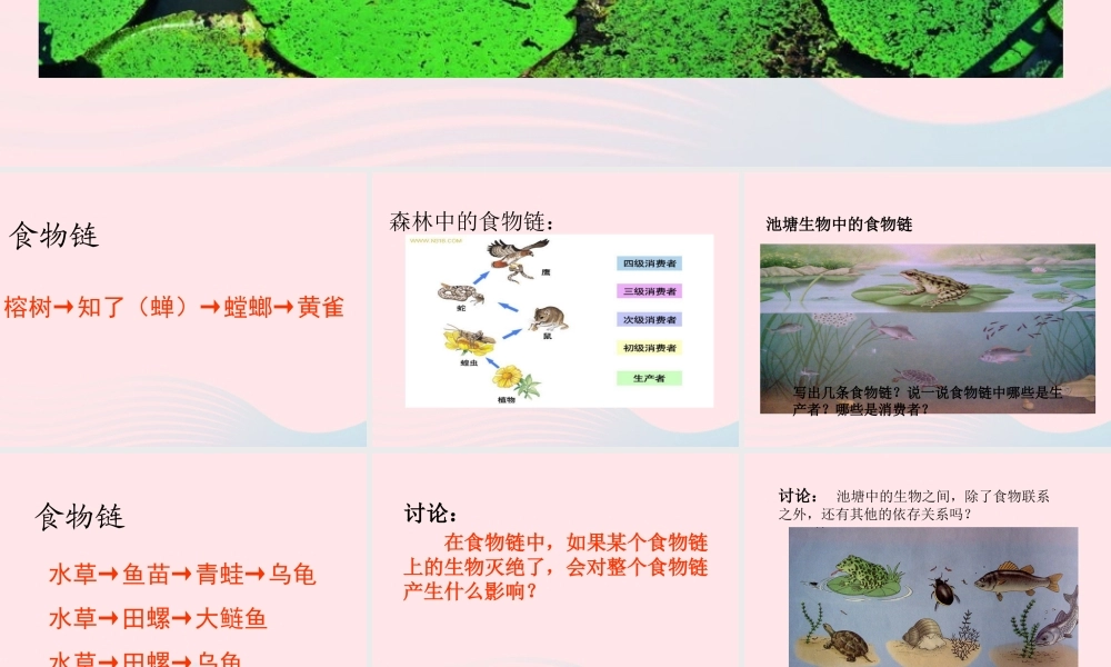五年级科学上册 第12课《池塘生物的相互联系》课件（1） 鄂教版-鄂教版小学五年级上册自然科学课件