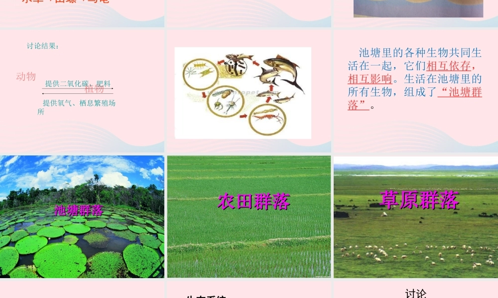 五年级科学上册 第12课《池塘生物的相互联系》课件（1） 鄂教版-鄂教版小学五年级上册自然科学课件