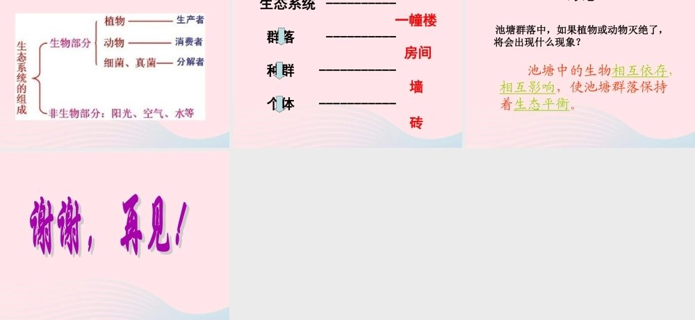 五年级科学上册 第12课《池塘生物的相互联系》课件（1） 鄂教版-鄂教版小学五年级上册自然科学课件