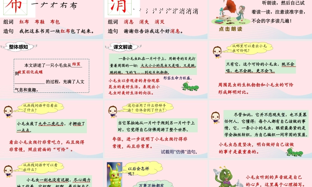 二年级语文下册 课文6 22 小毛虫课堂教学课件 新人教版-新人教版小学二年级下册语文课件