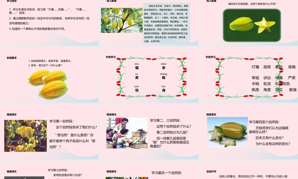 二年级语文下册 课文4 13《画杨桃》课件 新人教版-新人教版小学二年级下册语文课件